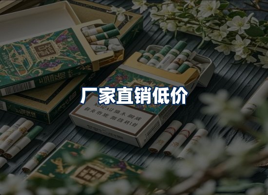 专业团队办公环境